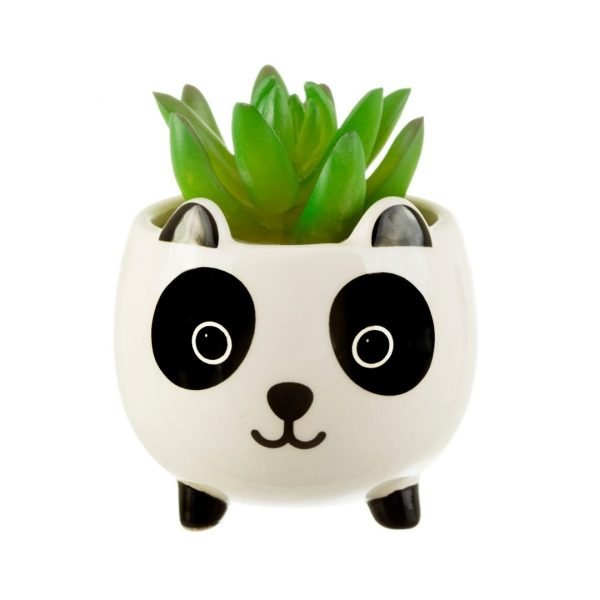 Mini Panda Succulent Pot