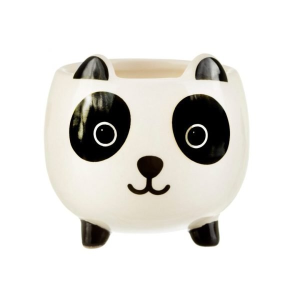 Mini Panda Succulent Pot - Image 2